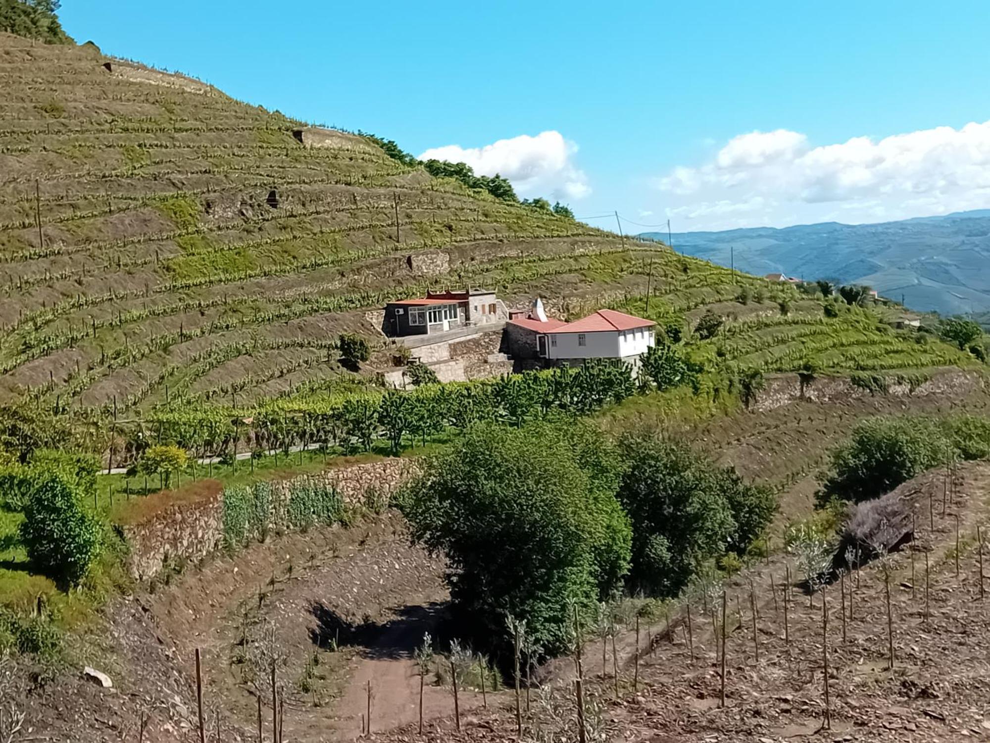 Casa da Quinta do Porto Lamego Exterior foto