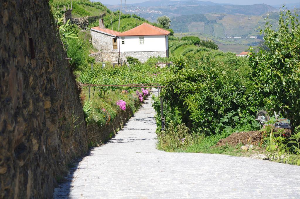 Casa da Quinta do Porto Lamego Exterior foto
