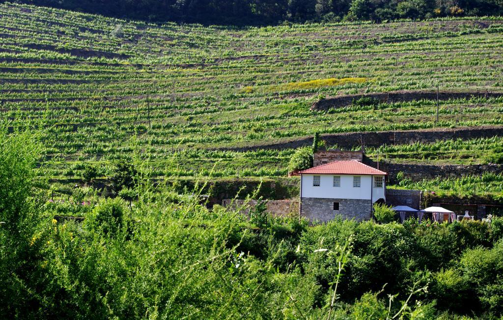 Casa da Quinta do Porto Lamego Exterior foto
